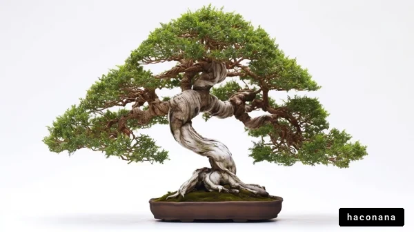 美しい盆栽のアート作品