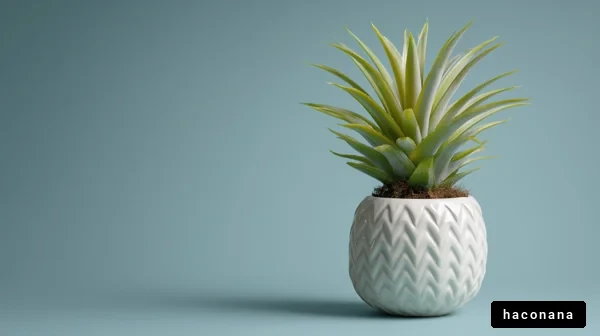 シンプルな観葉植物