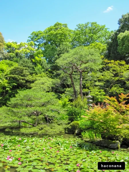 静かな日本の庭園