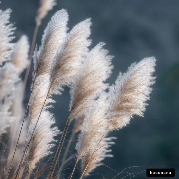 穂のある植物の風景