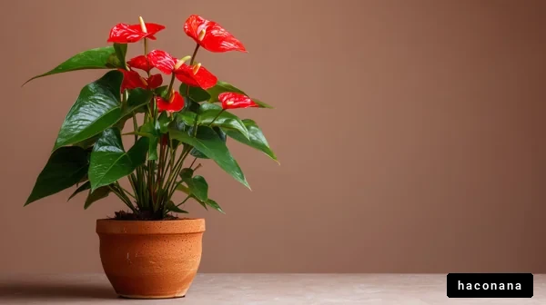 観葉植物の美しいディスプレイ