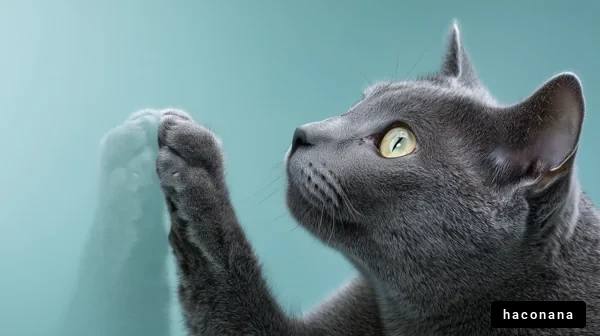 おしゃれな猫のポートレート