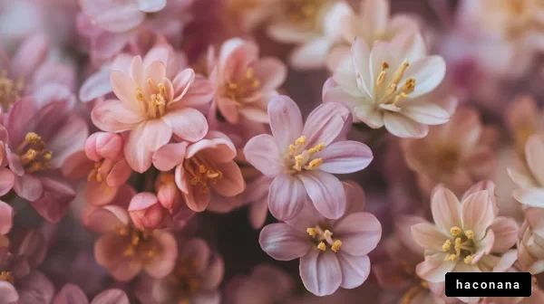 優雅な花々の背景