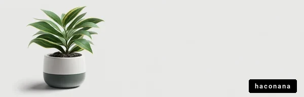 観葉植物とシンプルな空間