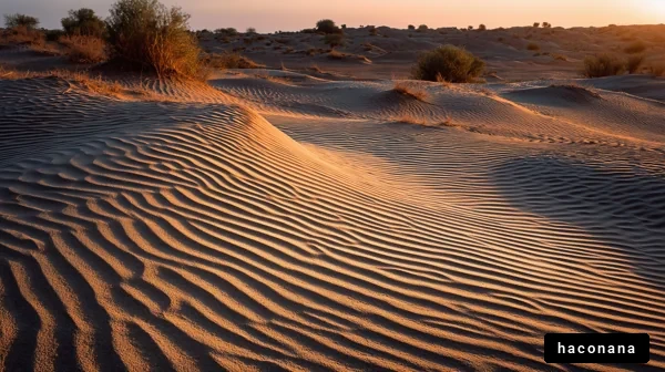 砂漠の美しい風景