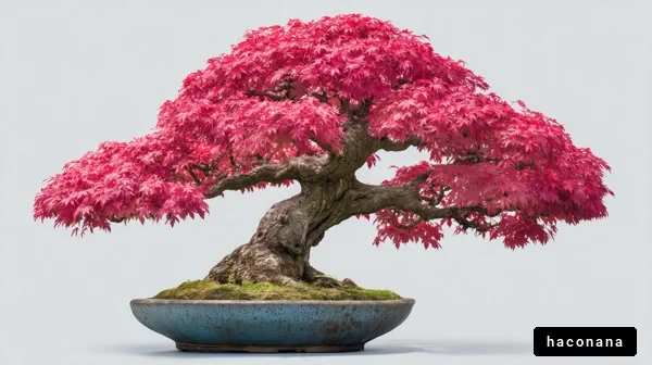 鮮やかな紅葉の盆栽