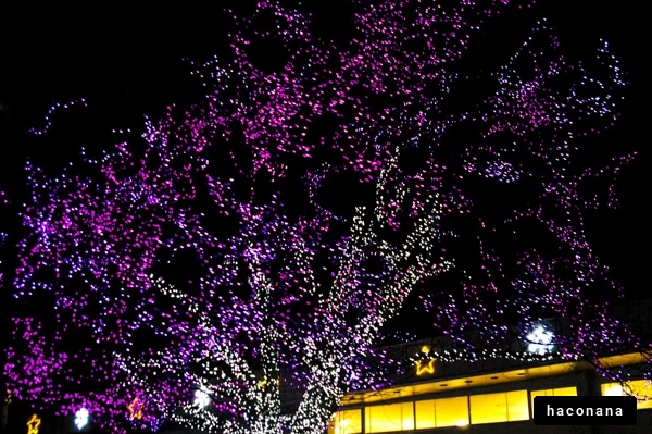 夜のイルミネーション