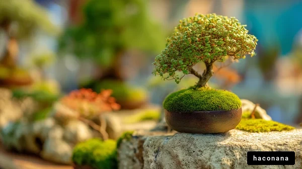 盆栽の美しい風景