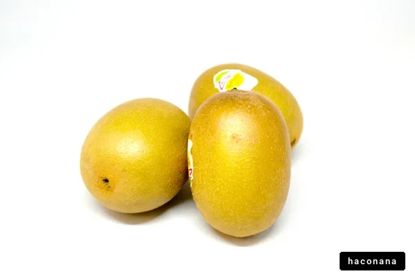 美味しいフルーツの集合