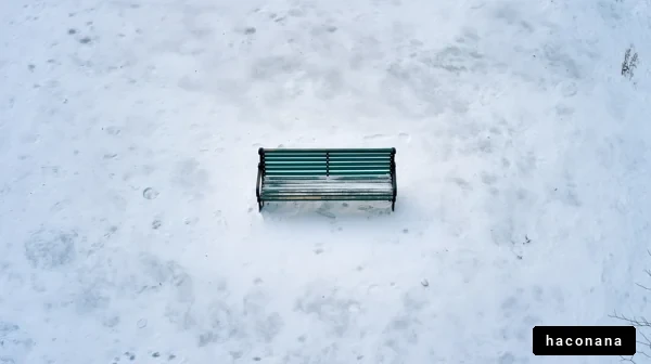 雪に覆われたベンチ