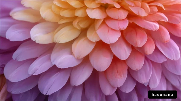 色鮮やかな花のディテール