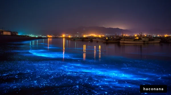 夜の港に広がる青い光