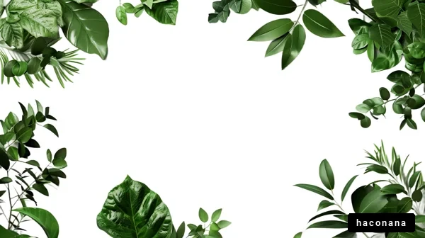 緑の葉のフレームデザイン