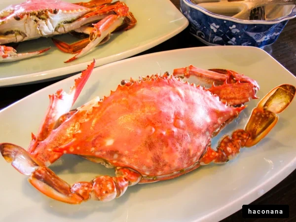 新鮮なカニ料理