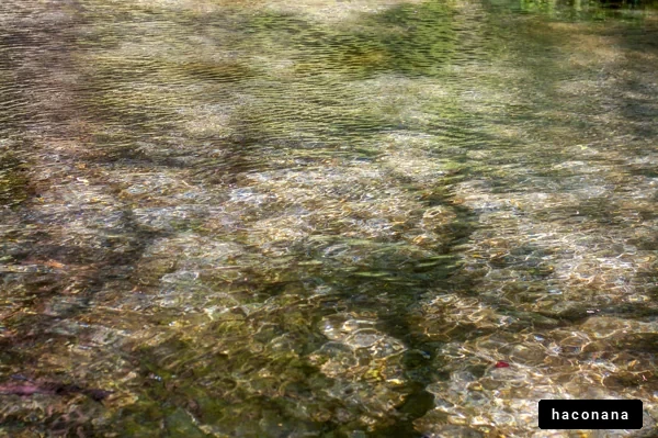 水面の光と影の模様