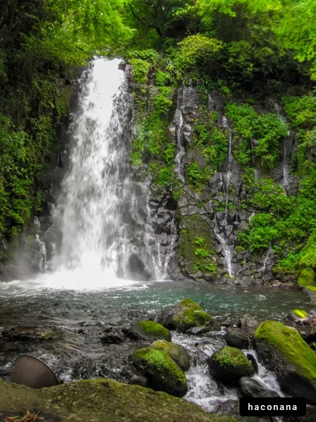 美しい滝の風景