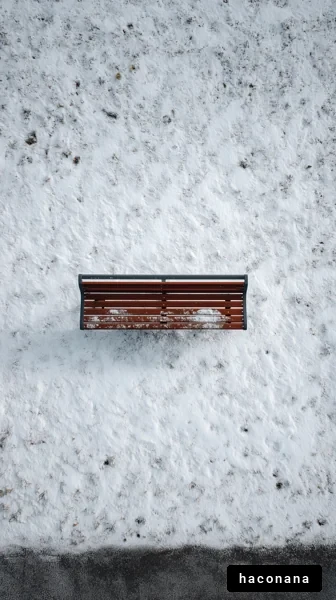 雪の上のベンチ