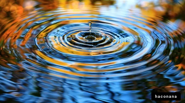 水面の波紋と反射