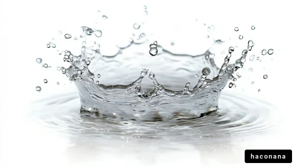 水しぶきの美しい瞬間