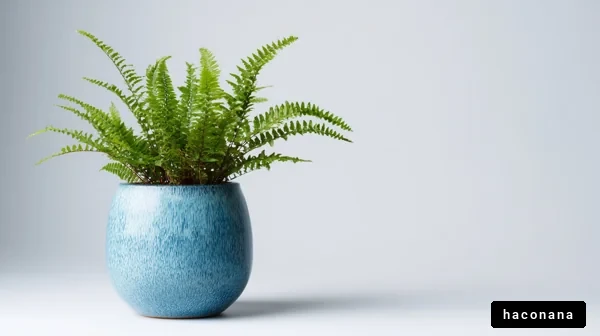 おしゃれな観葉植物の写真