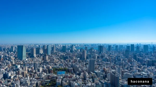 都市の空撮風景