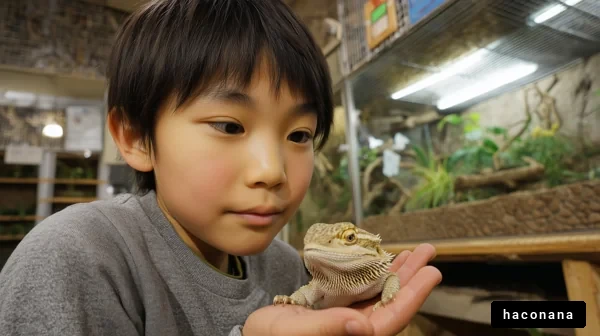 子供と爬虫類のふれあい