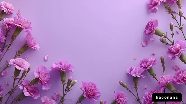 優雅なカーネーションの花束