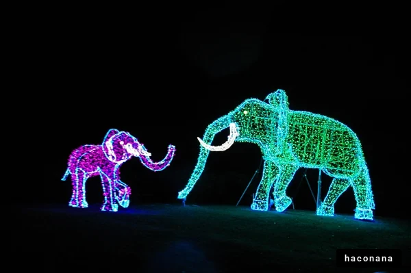 夜空に輝く象のイルミネーション