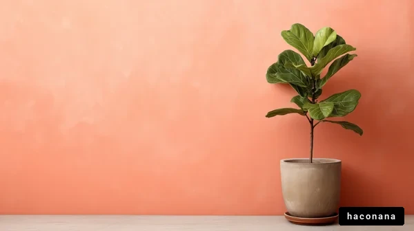 観葉植物とやさしい壁面