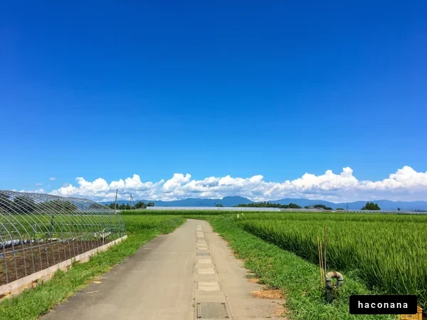 青空と田園風景