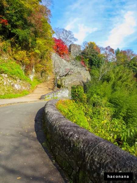 秋の美しい風景道