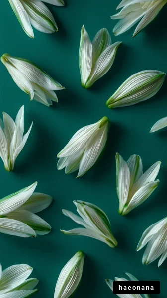 美しい白い花のアレンジ