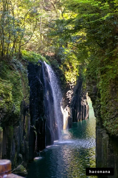 緑に囲まれた滝の風景