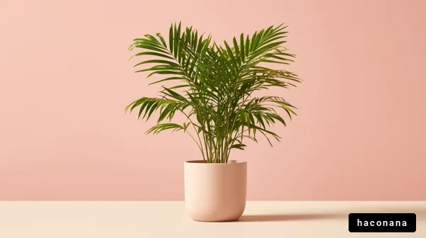 ピンク背景の観葉植物