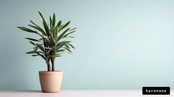 シンプルな観葉植物