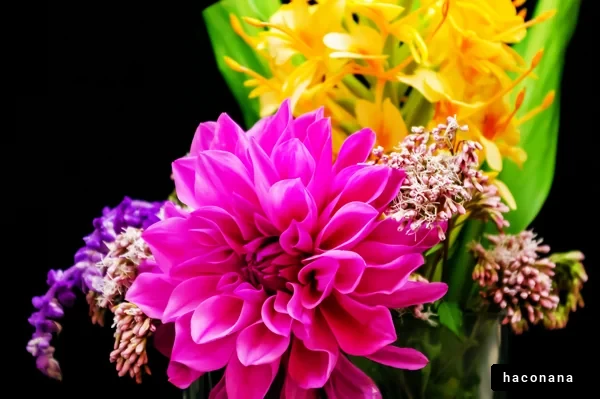 色とりどりの花束