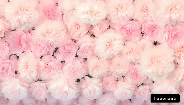 柔らかなピンクの花々