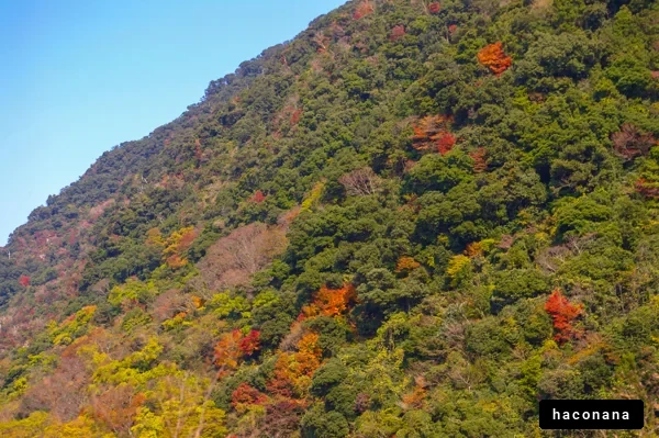 色彩豊かな秋の山