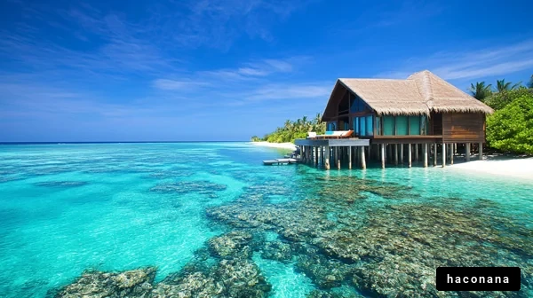 美しいビーチとリゾート