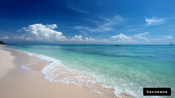 美しいビーチの風景