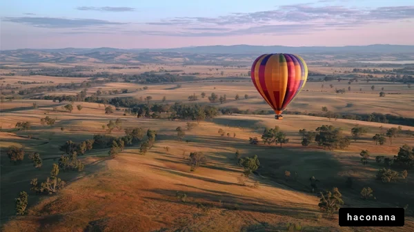熱気球が浮かぶ風景