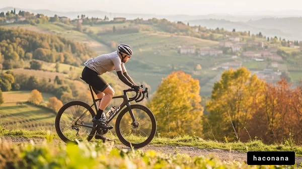 美しい風景で自転車ライド
