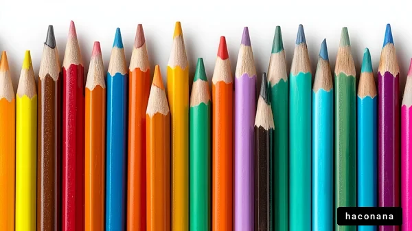カラフルな色鉛筆の並び