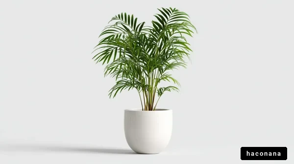 観葉植物のシンプルなデザイン