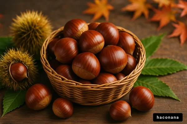 秋の栗と自然の風景