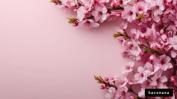 桜の花と春の雰囲気