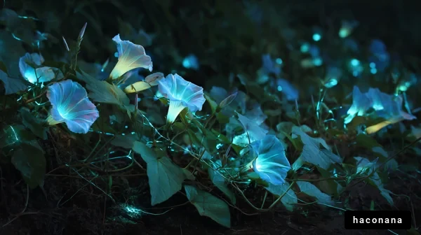神秘的な青い花々