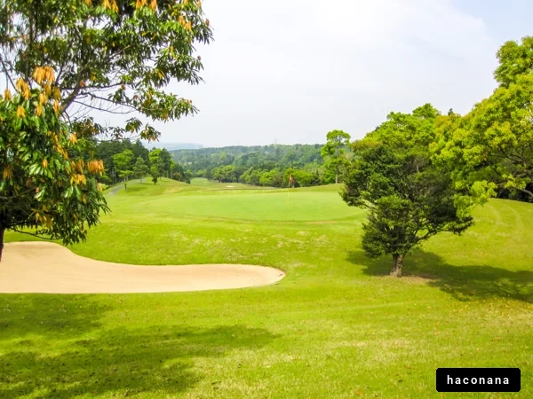 緑豊かなゴルフコース