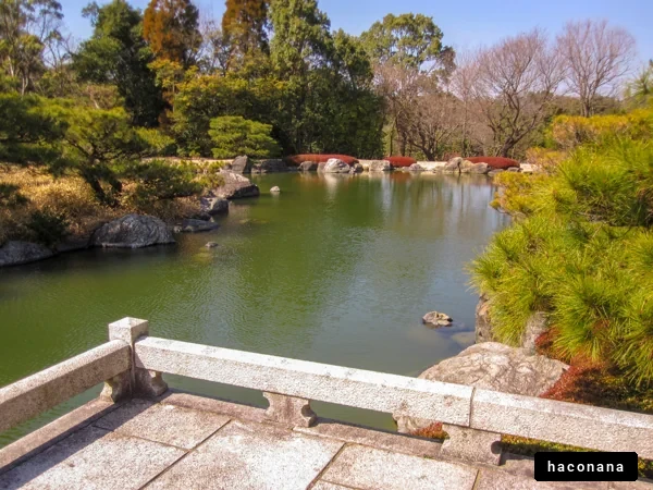 静かな日本庭園の風景