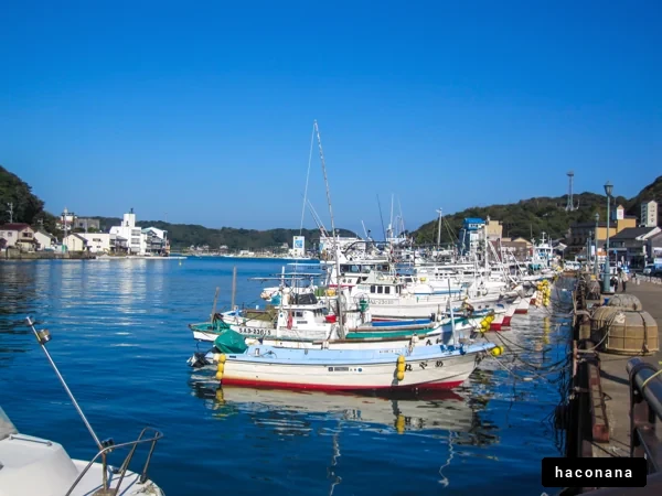 穏やかな港の風景